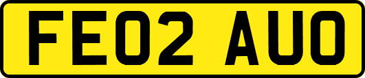 FE02AUO