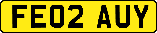 FE02AUY