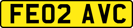 FE02AVC