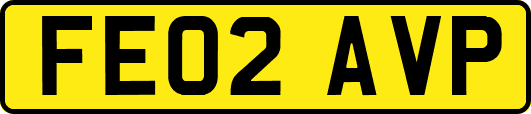 FE02AVP