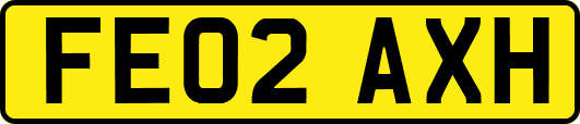 FE02AXH