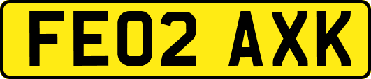 FE02AXK