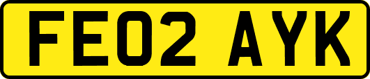 FE02AYK