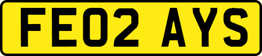 FE02AYS
