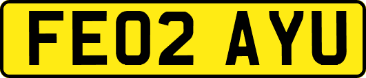 FE02AYU