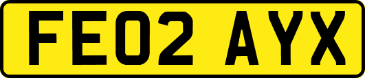 FE02AYX