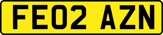 FE02AZN
