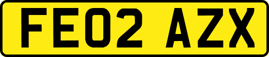 FE02AZX