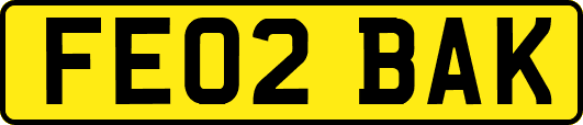 FE02BAK