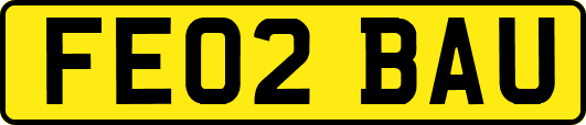 FE02BAU
