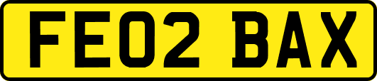 FE02BAX