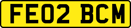 FE02BCM