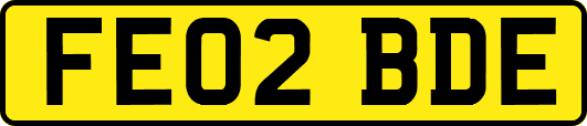 FE02BDE