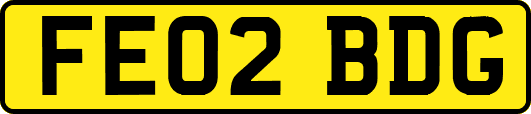 FE02BDG