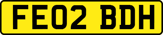 FE02BDH