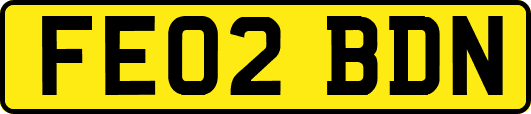FE02BDN