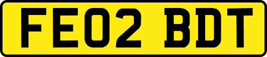 FE02BDT