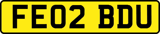 FE02BDU