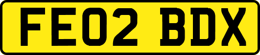 FE02BDX
