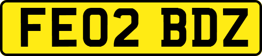 FE02BDZ