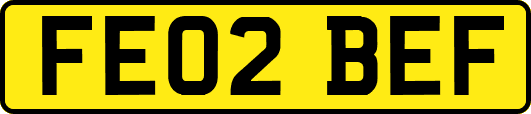 FE02BEF