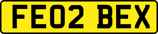 FE02BEX