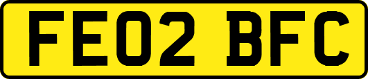 FE02BFC