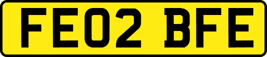 FE02BFE
