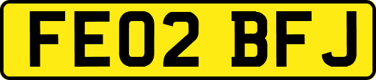 FE02BFJ