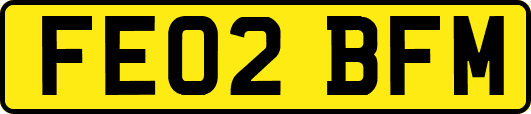 FE02BFM