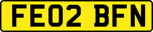 FE02BFN