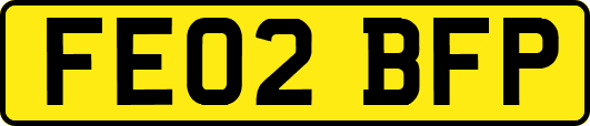 FE02BFP