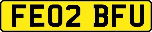 FE02BFU