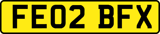 FE02BFX