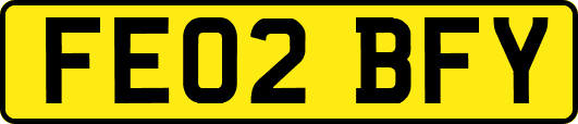 FE02BFY