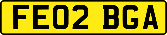 FE02BGA