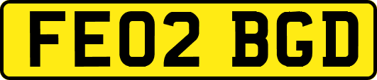 FE02BGD