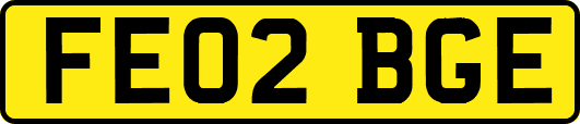 FE02BGE