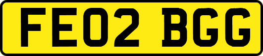 FE02BGG