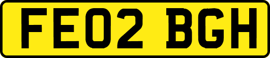 FE02BGH
