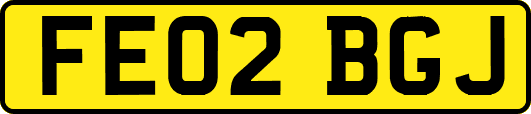 FE02BGJ