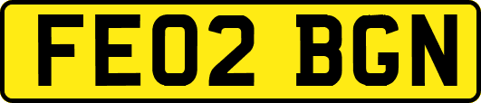 FE02BGN