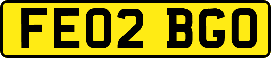 FE02BGO