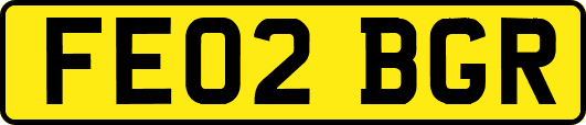 FE02BGR
