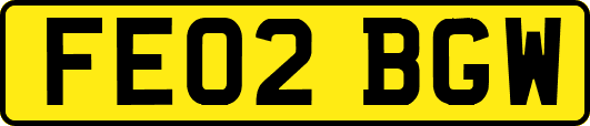 FE02BGW