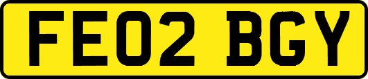 FE02BGY