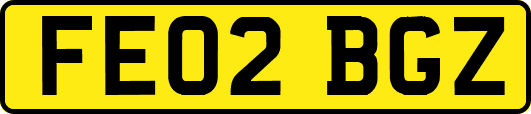 FE02BGZ