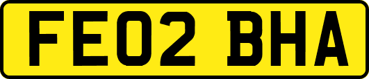 FE02BHA