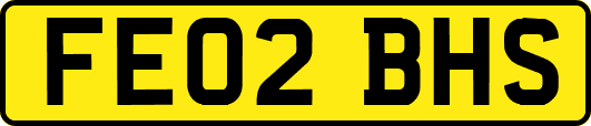 FE02BHS