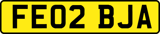 FE02BJA